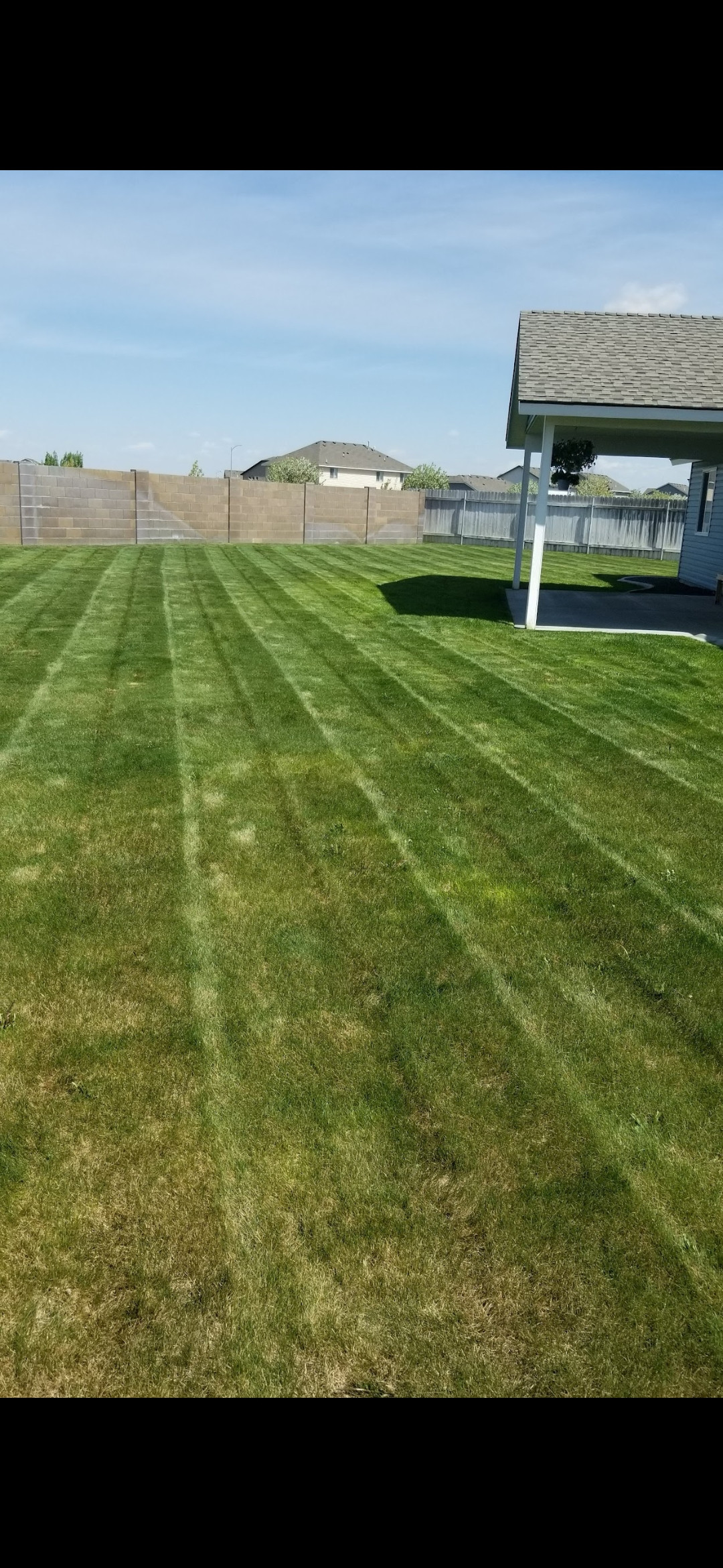 Professional lawn mowing