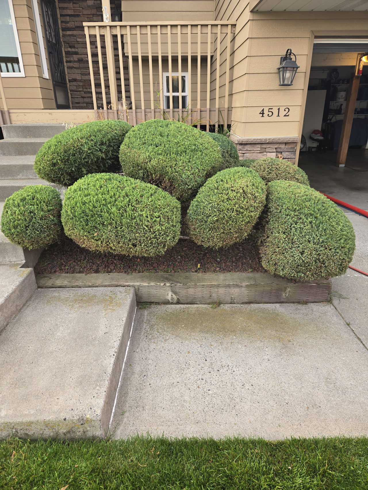 Professional shrub trimming